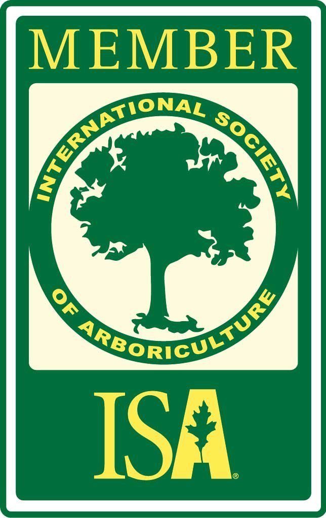ISA Member Image ISA Member Image